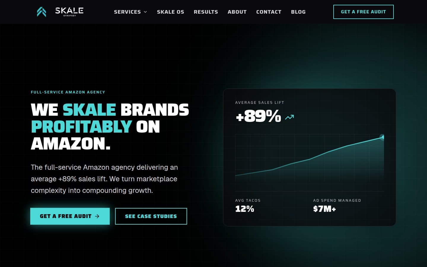 Skale Strategy website, desktop view