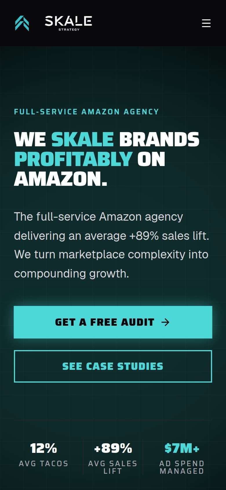 Skale Strategy website, mobile view